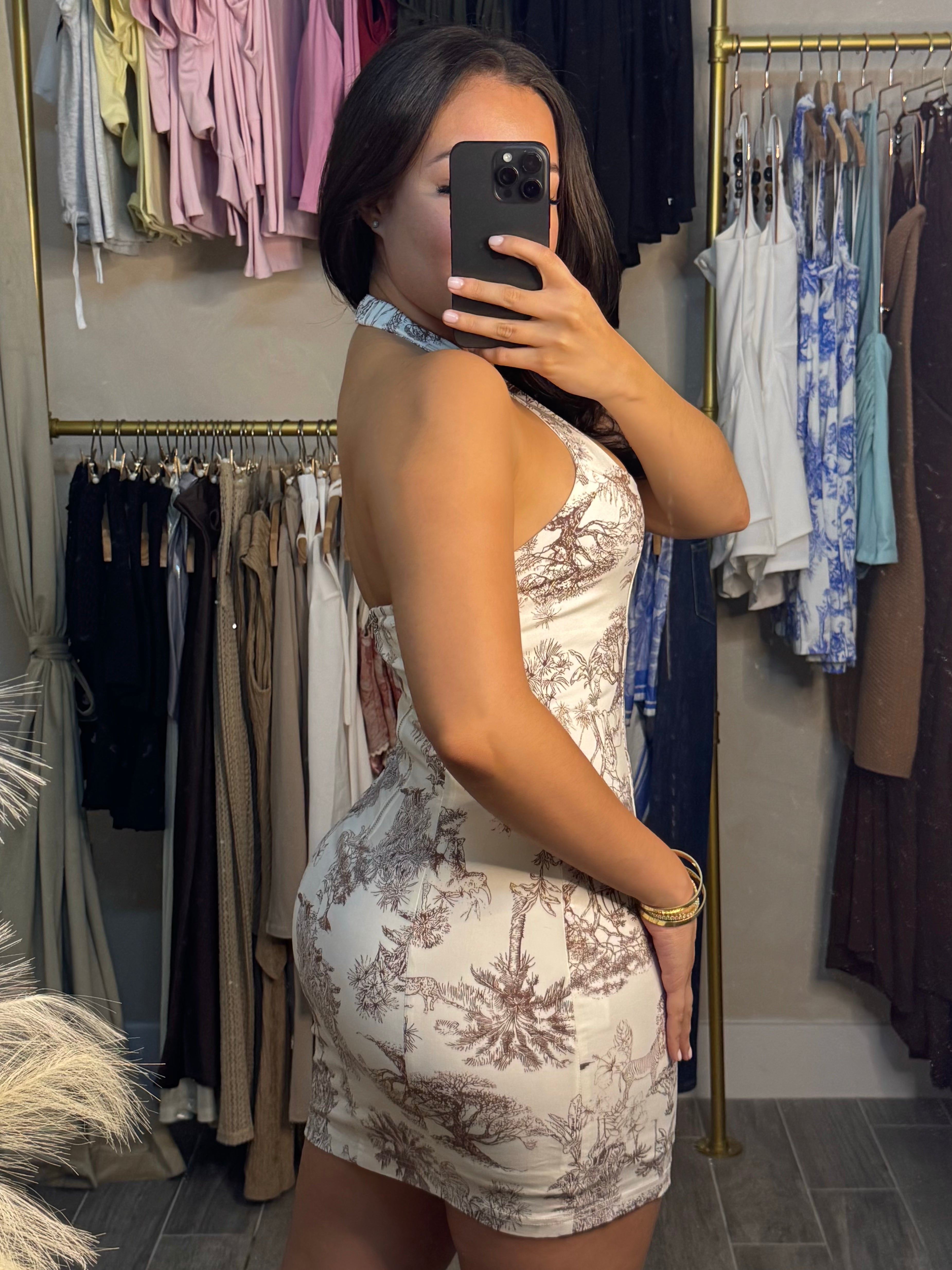 MYKONOS BABE MINI DRESS | MOCHA